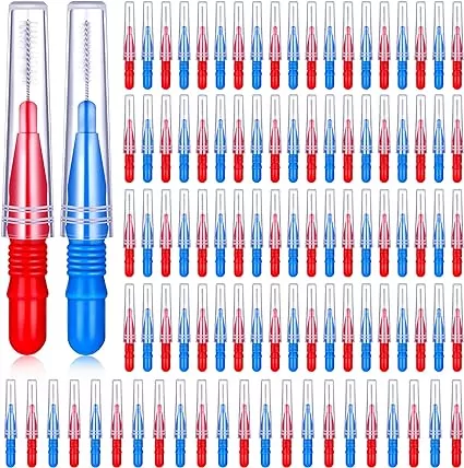 100 Pieces Braces Dental Brush Flosser